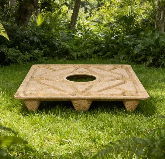 Molded Pallet vs Wooden Pallet: A Comprehensive Comparison