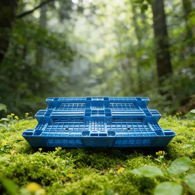 Patines de plástico