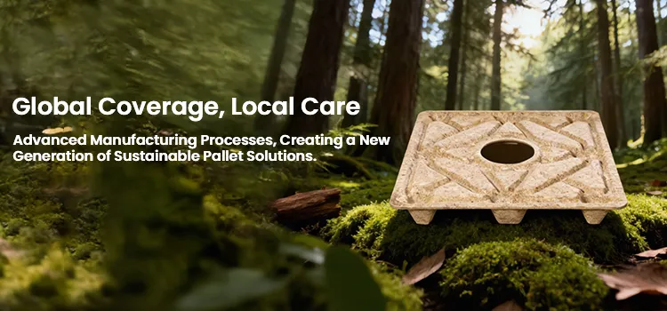 Empresa de referencia en palets moldeados ecológicos