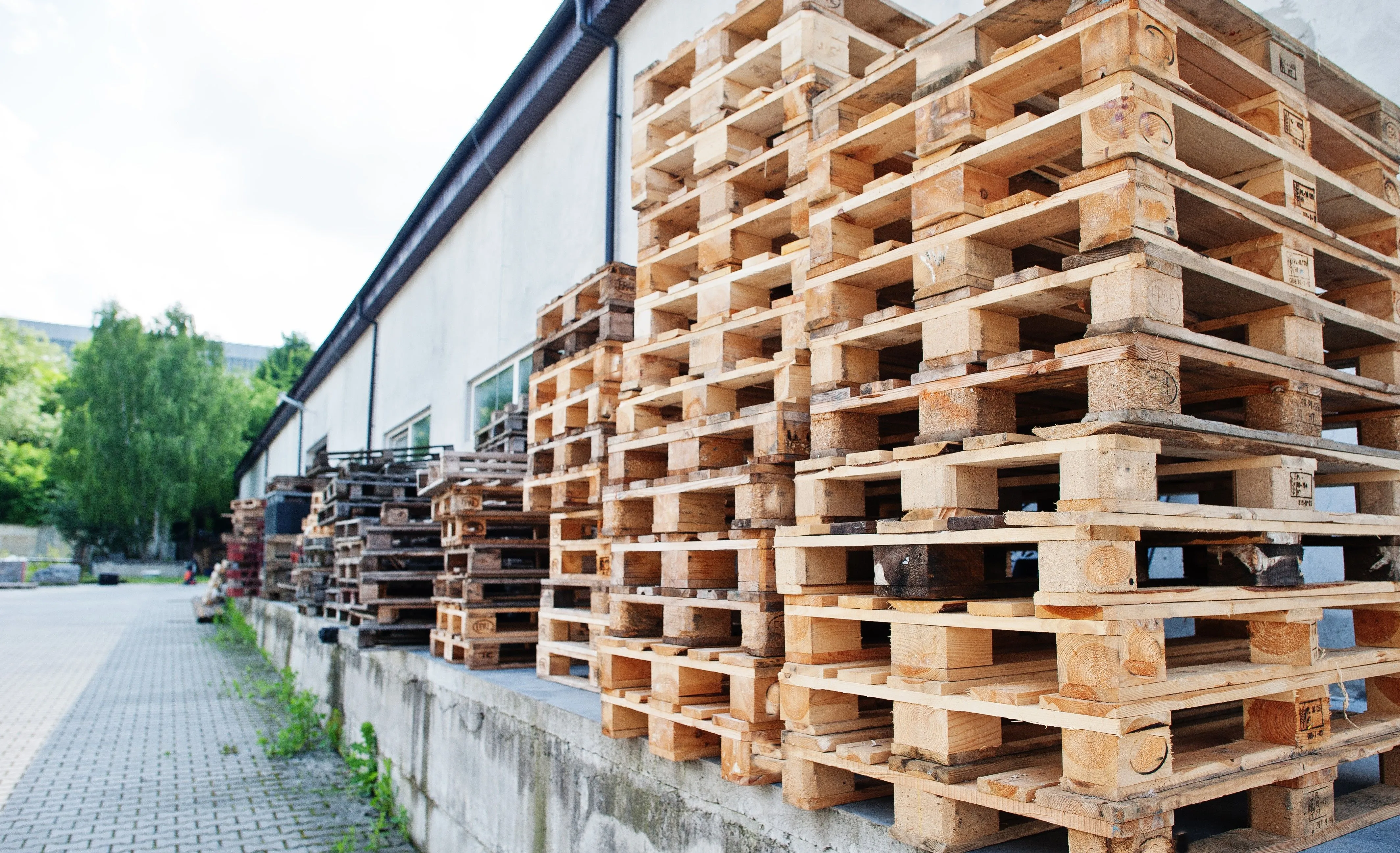 Greybridge Industries – De retrasos aduaneros a cero incidentes